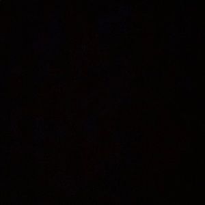 Meet your Posher, Lindy